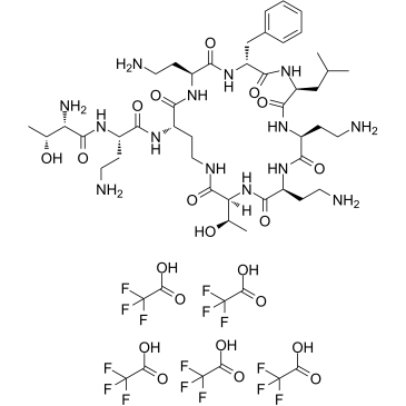 Polymyxin B nonapeptide TFA 2220175-42-6